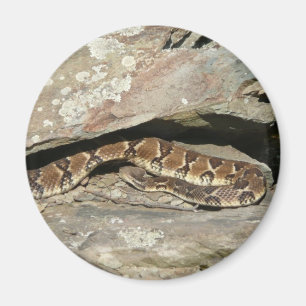 Rattlesnake im Shenandoah-Nationalpark Magnet