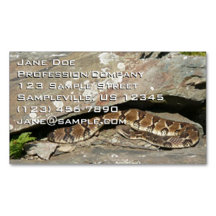 Rattlesnake im Shenandoah-Nationalpark Magnetische Visitenkarte