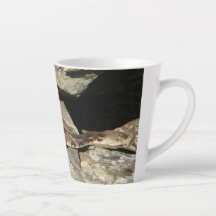 Rattlesnake im Shenandoah-Nationalpark Milchtasse