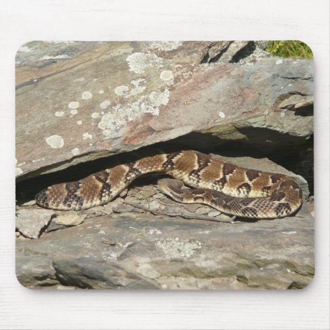 Rattlesnake im Shenandoah-Nationalpark Mousepad (Vorne)