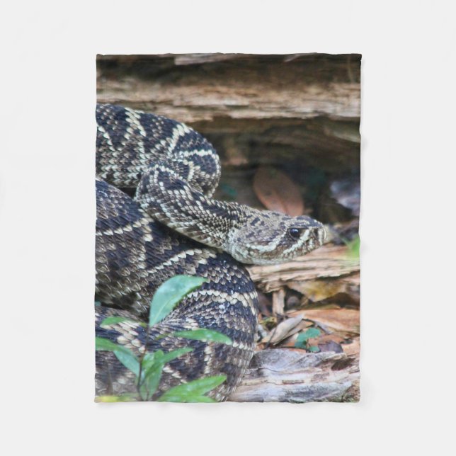 Rattlesnake In The Wild Fleecedecke (Vorderseite)