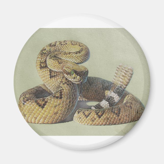 Rattlesnake Magnet (Vorne)