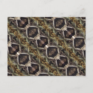 Rattlesnake Postcard Postkarte