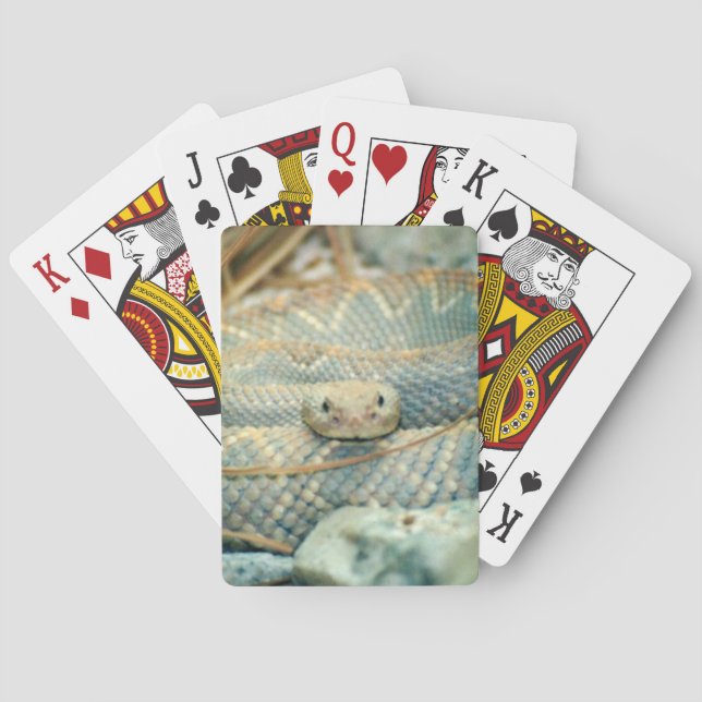 Rattlesnake Spielkarten (Rückseite)