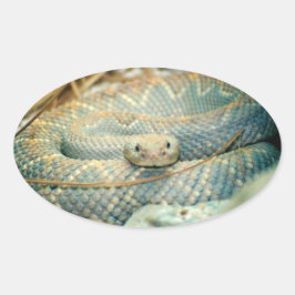 Rattlesnake Stickers