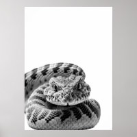 Rattlesnake Woodland Modernes Portrait Schwarz-wei