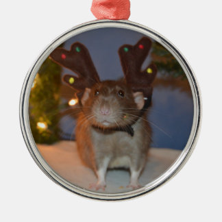 Ratty Ren Silbernes Ornament