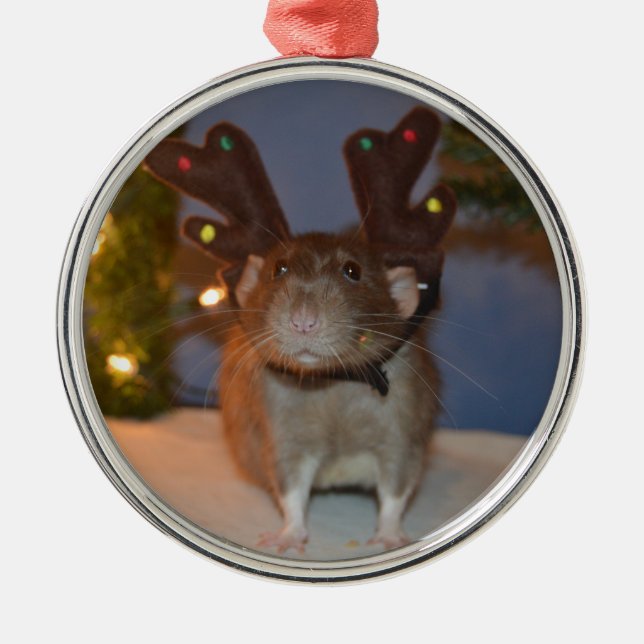 Ratty Ren Silbernes Ornament (Vorne)