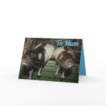 Ratty sourit la carte de la fête des mères