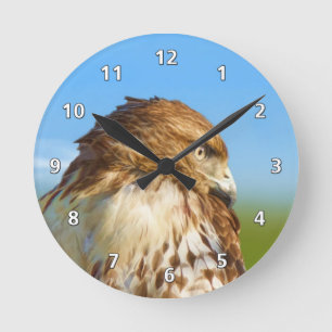 Rau-mit Beinen versehener Falke im Profil Runde Wanduhr