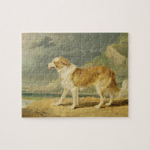 Rau-überzogener Collie, 1809 (Öl an Bord)
