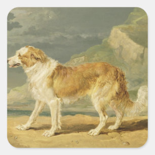 Rau-überzogener Collie, 1809 (Öl an Bord) Quadratischer Aufkleber