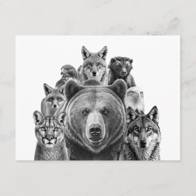 Raubtiere aus Holz in Nordamerika Postkarte (Vorderseite)