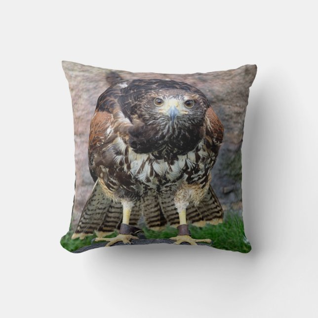 Raubvogel #15-Red angebundenen Falken Kissen (Vorderseite)
