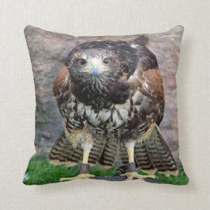 Raubvogel #15-Red angebundenen Falken Kissen