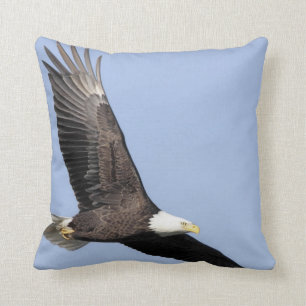 Raubvogel #22- Weißkopfseeadler Kissen