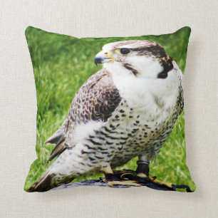 Raubvogel #2-Peregrine Falken Kissen