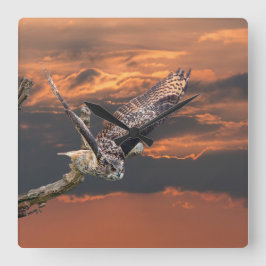 Raubvögel Eule fotografieren in der Quadratische Wanduhr
