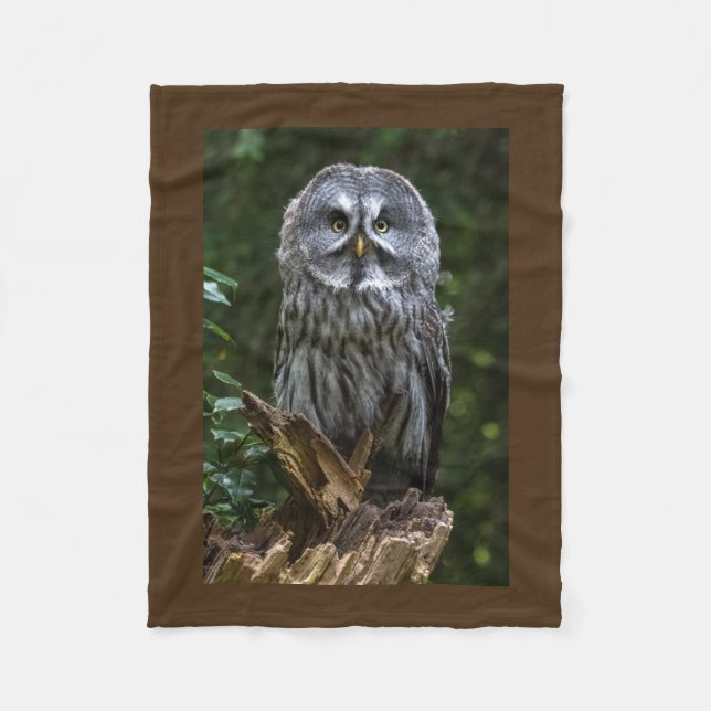 Raubvögel Eulenphotographie des großen Graus Fleecedecke (Vorderseite)
