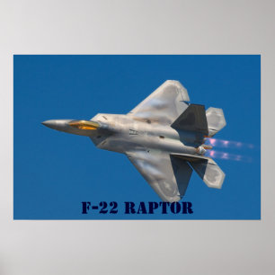 RAUBVOGEL F22 POSTER
