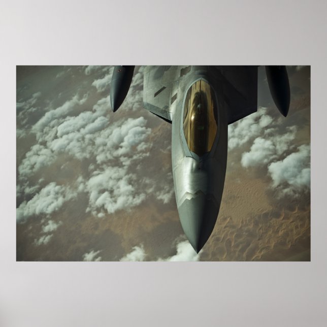 Raubvogel F-22 Poster (Vorne)