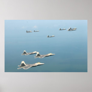 Raubvögel F-22 Poster