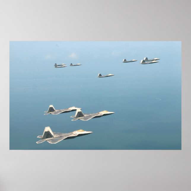 Raubvögel F-22 Poster (Vorne)