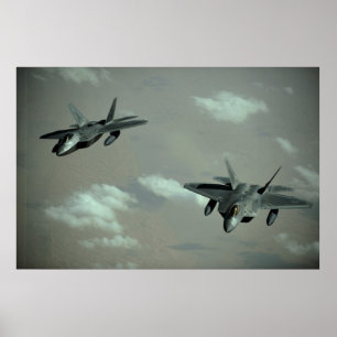 Raubvögel F-22 Poster