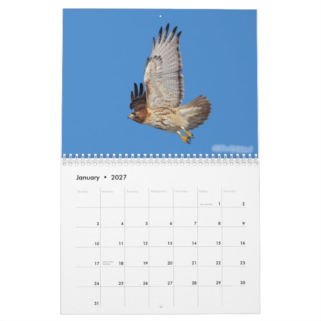 Raubvogel-Kalender 2010 Kalender (Jan 2027)