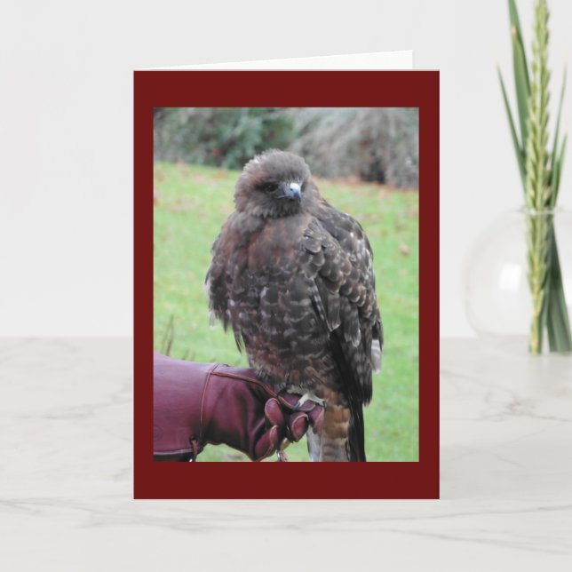 Raubvogel Karte (Vorderseite)