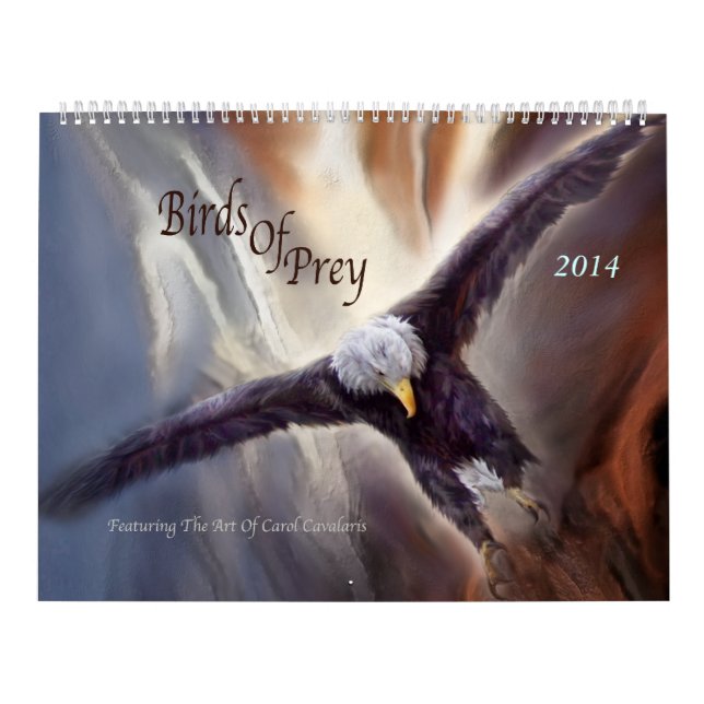 Raubvögel Kunst-Kalender 2014 Kalender (Titelbild)