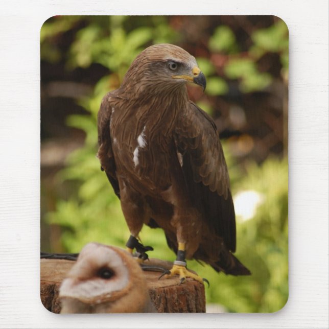 Raubvögel Mousepad (Vorne)