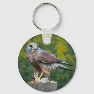 Raubvogel Schlüsselanhänger/Schlüsselring Schlüsselanhänger