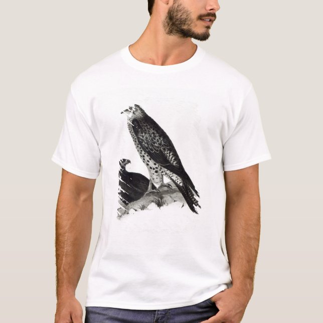 Raubvögel T-Shirt (Vorderseite)