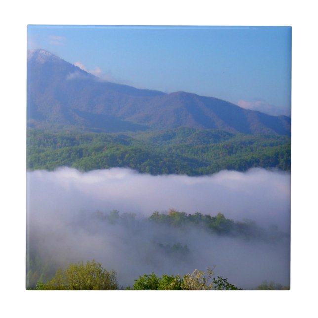 Rauch Fliese (Vorderseite)