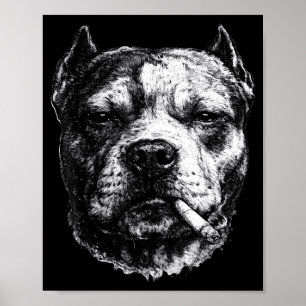 Rauchender Pitbull, Lustiger Zigaretten rauchender Poster