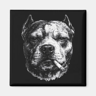 Rauchender Pitbull, Lustiges Zigaretten rauchender Magnet