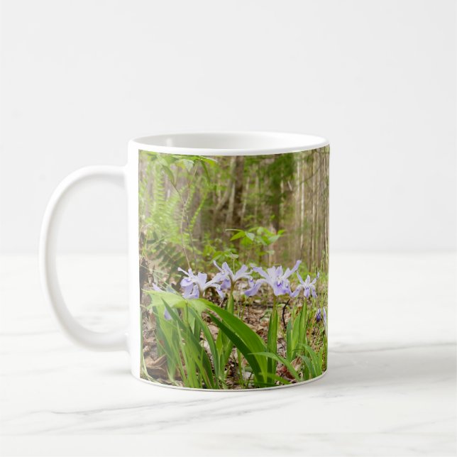 Raucher-Bergweg im Frühling Kaffeetasse (Links)