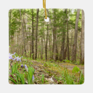 Raucher-Bergweg im Frühling Keramikornament