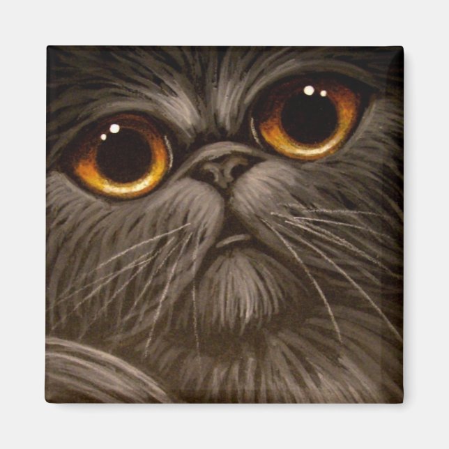 RAUCHER PERSIAN CAT-MALETTE 1 MÖGLICHKEIT MAGNET (Vorne)