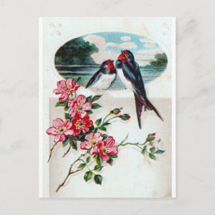Rauchschwalben und rosa Blumen Postkarte