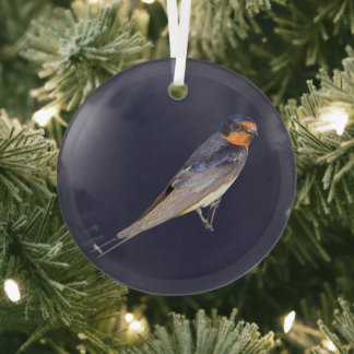 Rauchschwalben-Vogel-Foto-Ornament Ornament Aus Glas