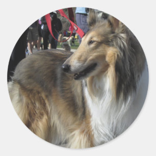 Rauer Collie-Aufkleber Runder Aufkleber