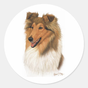 Rauer Collie Runder Aufkleber