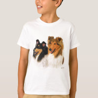 Rauer Collie