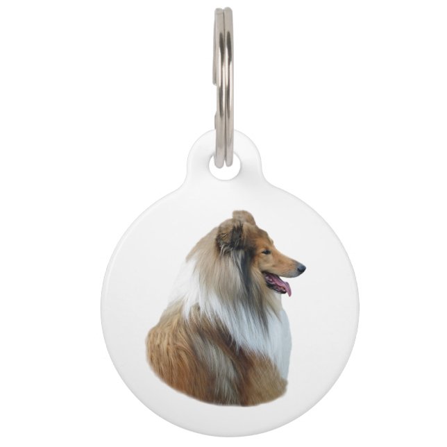 Raues Colliehundeporträt-Foto Haustiermarke (Vorderseite)