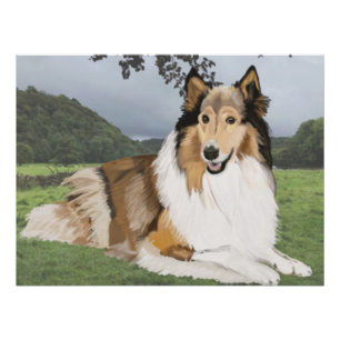 Rauhhaar Collie gegen die Yorkshire Dales Poster