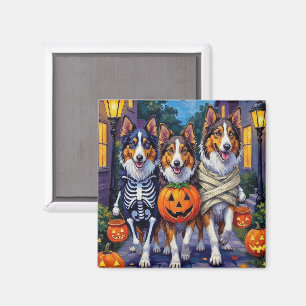 Rauhhaar Collie Halloween-Kostüme beim Trick-or-Tr Magnet