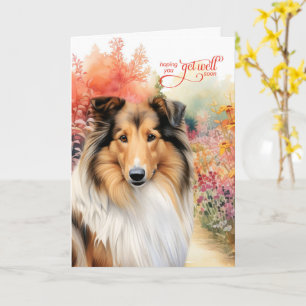 Rauhhaar Collie Hund Bunter Gartenweg Gute Besseru Karte