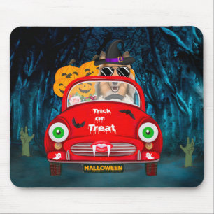 Rauhhaar Collie Hund fährt Auto Gruseliges Hallowe Mousepad